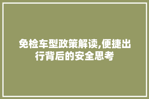 免检车型政策解读,便捷出行背后的安全思考
