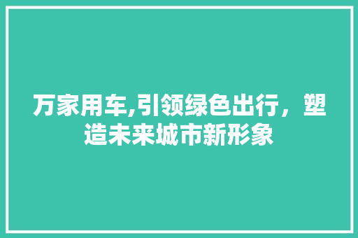 万家用车,引领绿色出行，塑造未来城市新形象