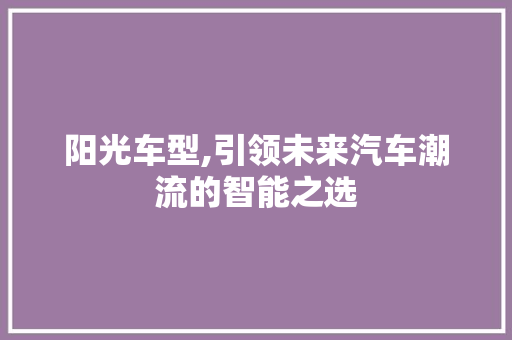 阳光车型,引领未来汽车潮流的智能之选