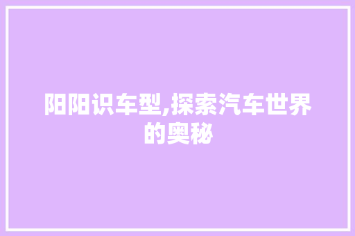 阳阳识车型,探索汽车世界的奥秘