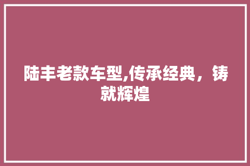 陆丰老款车型,传承经典，铸就辉煌
