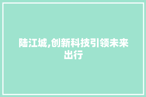 陆江城,创新科技引领未来出行