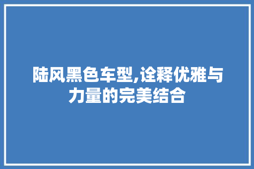 陆风黑色车型,诠释优雅与力量的完美结合