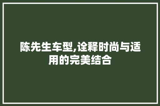 陈先生车型,诠释时尚与适用的完美结合
