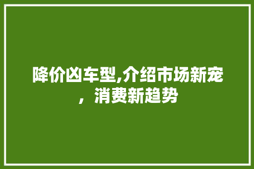 降价凶车型,介绍市场新宠，消费新趋势