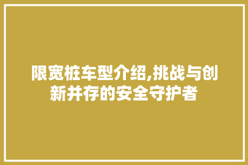 限宽桩车型介绍,挑战与创新并存的安全守护者