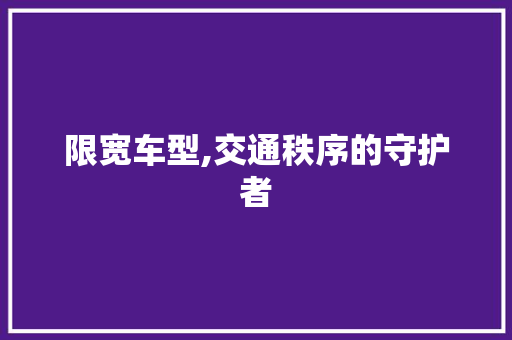 限宽车型,交通秩序的守护者