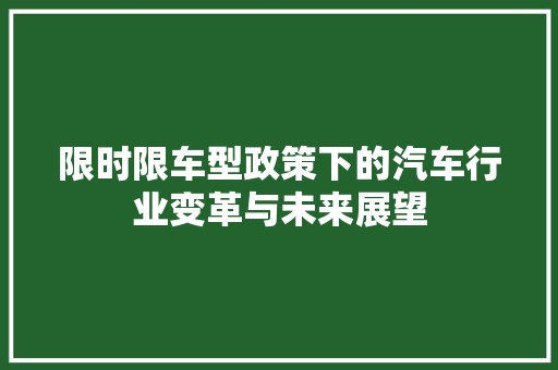 限时限车型政策下的汽车行业变革与未来展望