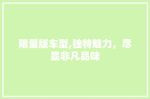 限量版车型,独特魅力，尽显非凡品味