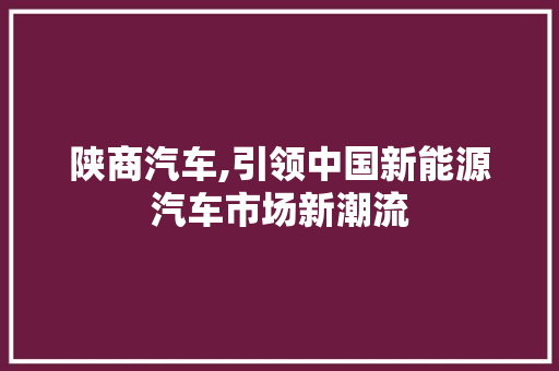 陕商汽车,引领中国新能源汽车市场新潮流