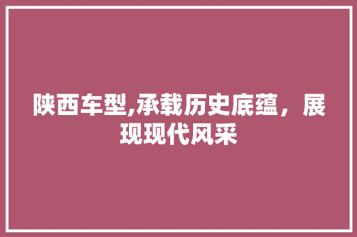 陕西车型,承载历史底蕴，展现现代风采