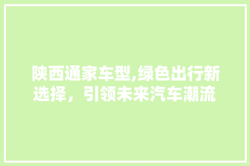 陕西通家车型,绿色出行新选择，引领未来汽车潮流