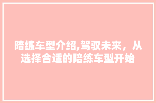 陪练车型介绍,驾驭未来，从选择合适的陪练车型开始