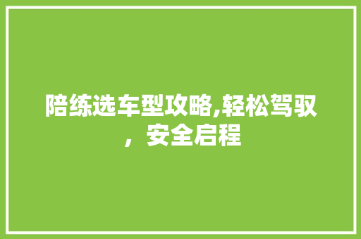 陪练选车型攻略,轻松驾驭，安全启程 变速箱配件