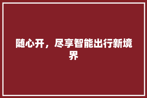 随心开，尽享智能出行新境界