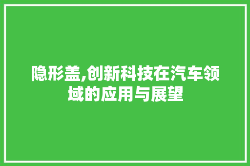 隐形盖,创新科技在汽车领域的应用与展望