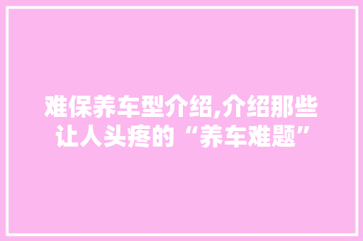 难保养车型介绍,介绍那些让人头疼的“养车难题”