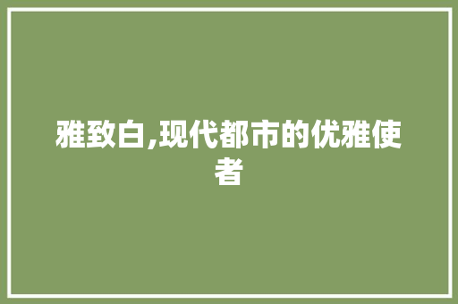 雅致白,现代都市的优雅使者