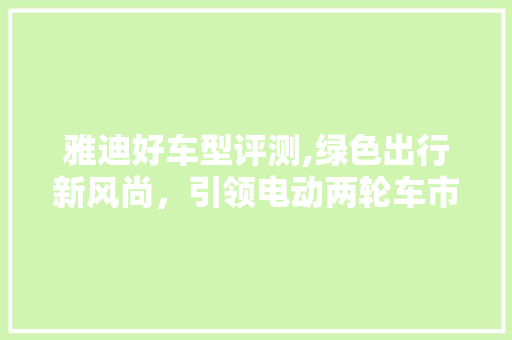 雅迪好车型评测,绿色出行新风尚，引领电动两轮车市场新潮流