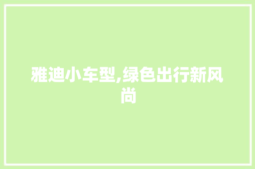 雅迪小车型,绿色出行新风尚