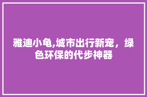 雅迪小龟,城市出行新宠，绿色环保的代步神器