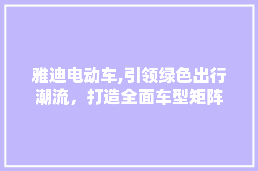 雅迪电动车,引领绿色出行潮流，打造全面车型矩阵
