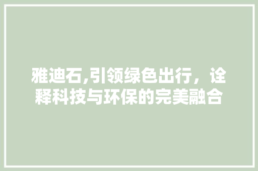 雅迪石,引领绿色出行，诠释科技与环保的完美融合