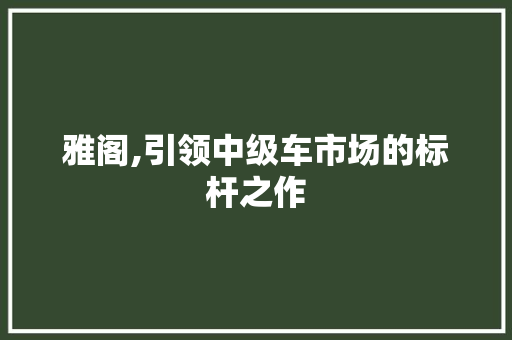 雅阁,引领中级车市场的标杆之作