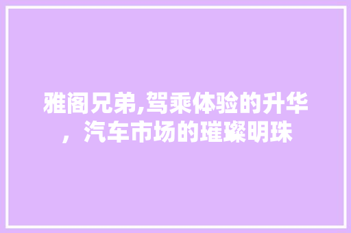 雅阁兄弟,驾乘体验的升华，汽车市场的璀璨明珠