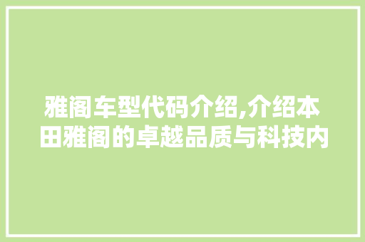 雅阁车型代码介绍,介绍本田雅阁的卓越品质与科技内涵