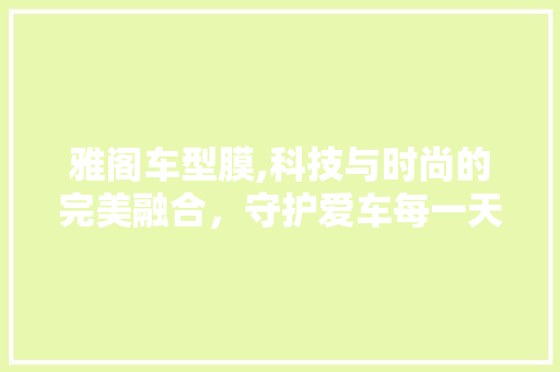 雅阁车型膜,科技与时尚的完美融合，守护爱车每一天