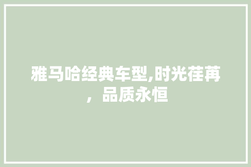 雅马哈经典车型,时光荏苒，品质永恒