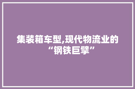 集装箱车型,现代物流业的“钢铁巨擘”