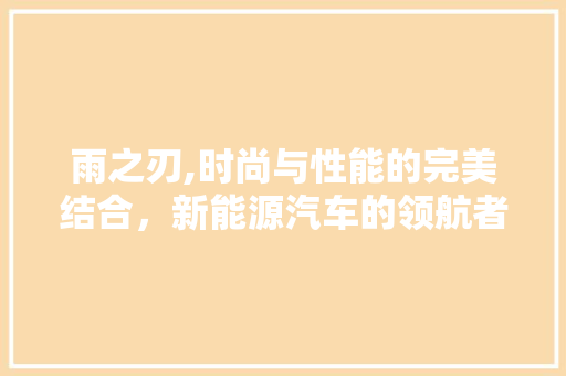 雨之刃,时尚与性能的完美结合，新能源汽车的领航者