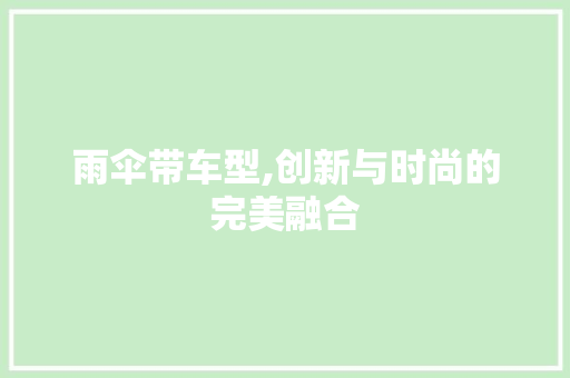 雨伞带车型,创新与时尚的完美融合