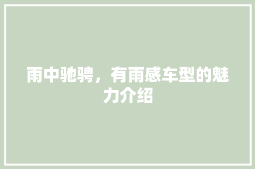 雨中驰骋，有雨感车型的魅力介绍