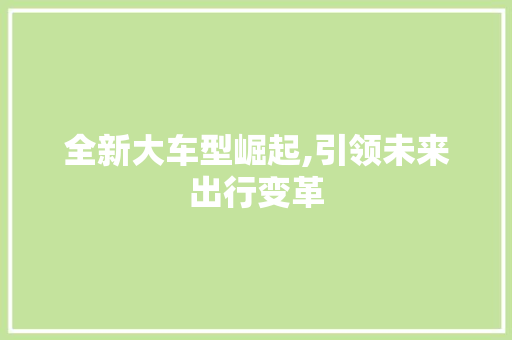 全新大车型崛起,引领未来出行变革