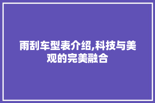 雨刮车型表介绍,科技与美观的完美融合