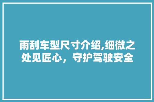 雨刮车型尺寸介绍,细微之处见匠心，守护驾驶安全