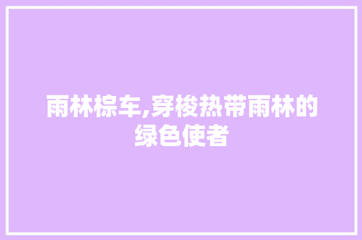 雨林棕车,穿梭热带雨林的绿色使者
