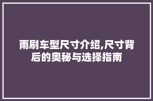 雨刷车型尺寸介绍,尺寸背后的奥秘与选择指南