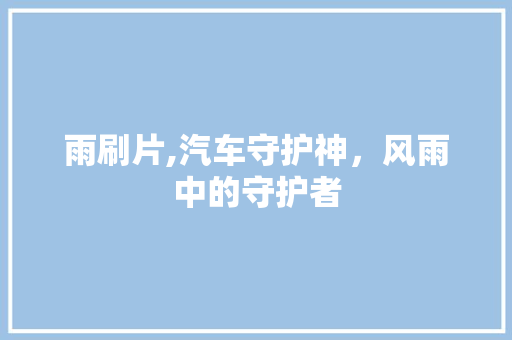 雨刷片,汽车守护神，风雨中的守护者