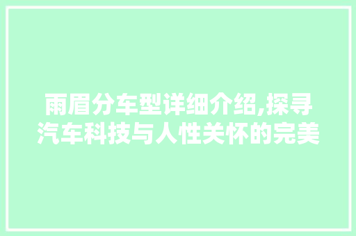 雨眉分车型详细介绍,探寻汽车科技与人性关怀的完美融合