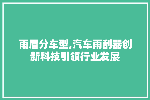 雨眉分车型,汽车雨刮器创新科技引领行业发展
