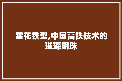 雪花铁型,中国高铁技术的璀璨明珠