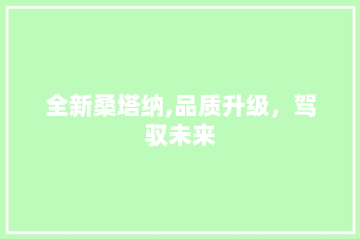 全新桑塔纳,品质升级，驾驭未来