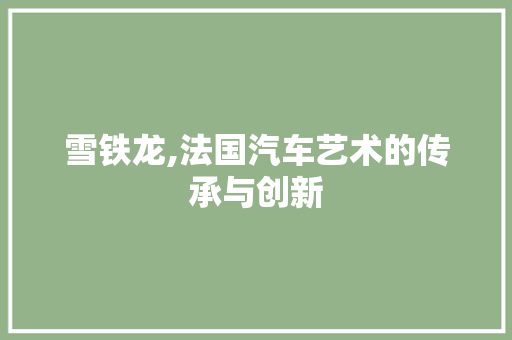 雪铁龙,法国汽车艺术的传承与创新