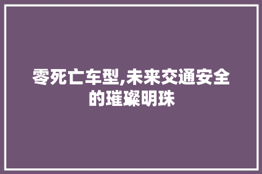 零死亡车型,未来交通安全的璀璨明珠