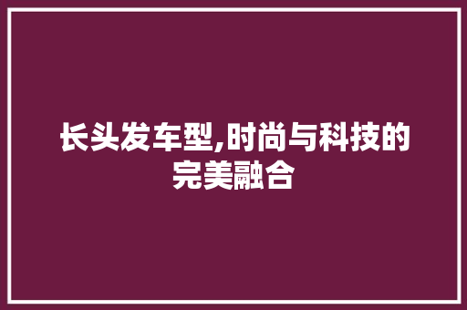 长头发车型,时尚与科技的完美融合