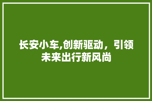 长安小车,创新驱动，引领未来出行新风尚